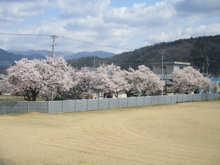 Img_0215 Img_0215