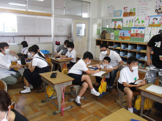 Img_0056 Img_0056